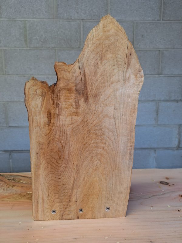 Natural Michigan Shaped Live Edge Bookend - Image 5